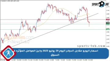 أسعار اليورو مقابل الدولار اليوم 29 يوليو 2025 وأبرز العوامل المؤثرة في السوق